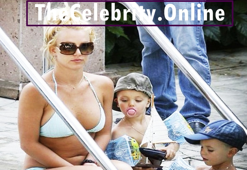 Britney Spears Gives Up Her Career Amid Guardianship Battle With Her Father